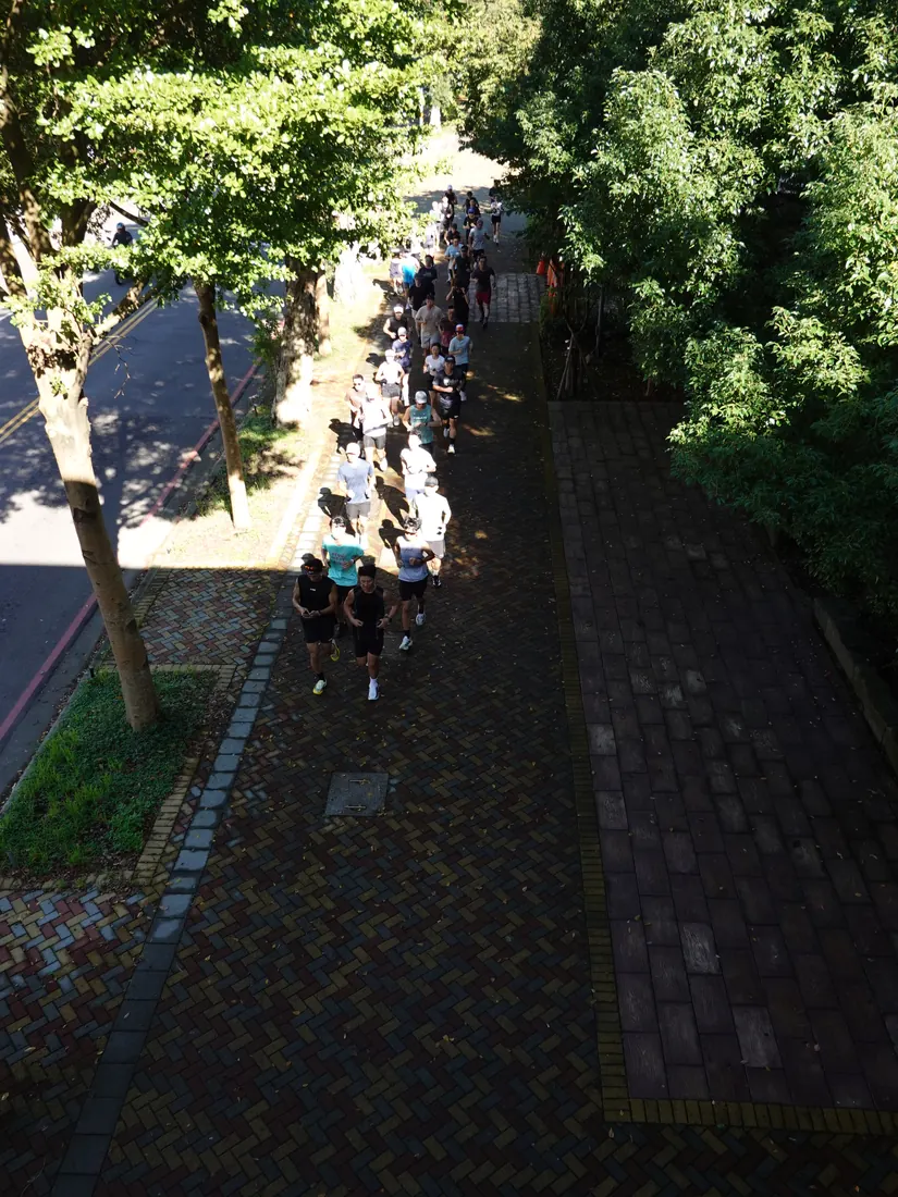 樹蔭步道上,跑者隊伍拉成一長條